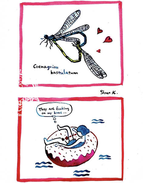 covid_diary4